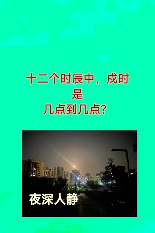 戌时是什么命_2