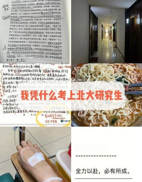 我凭什么上北大感悟-我凭什么上北大感悟