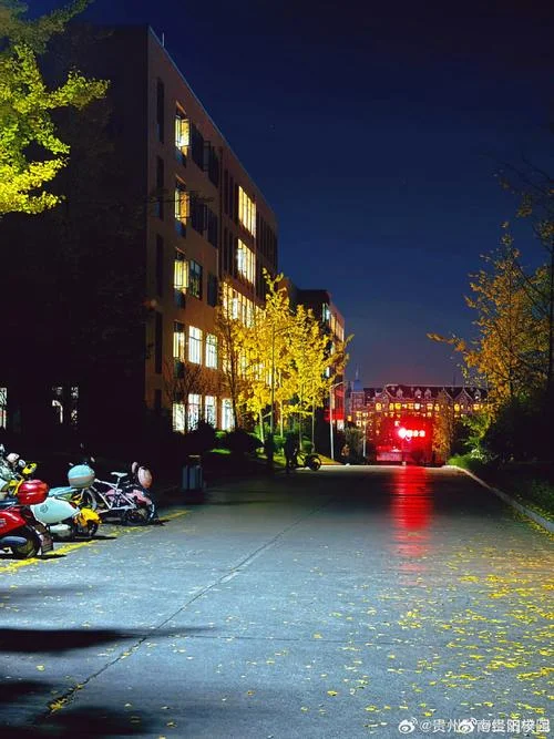 大学校园路灯图片_1