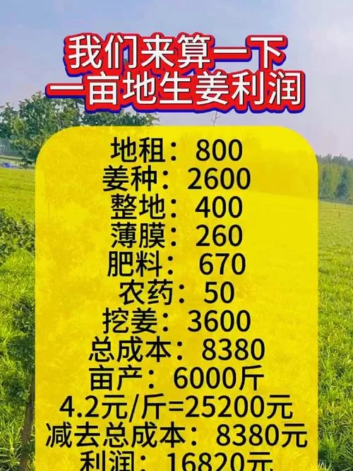 一亩土地多少钱_1