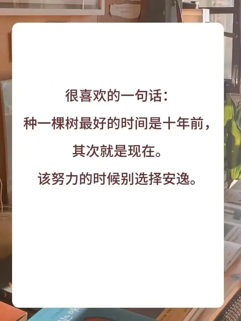 我是一棵树文案_2