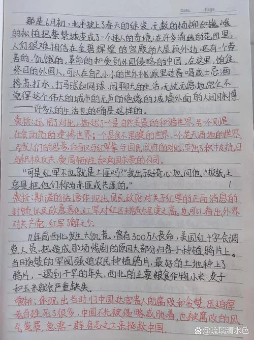 红星照耀中国感悟20字左右_1