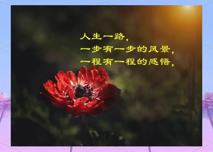 夜听人生的短暂感悟_1
