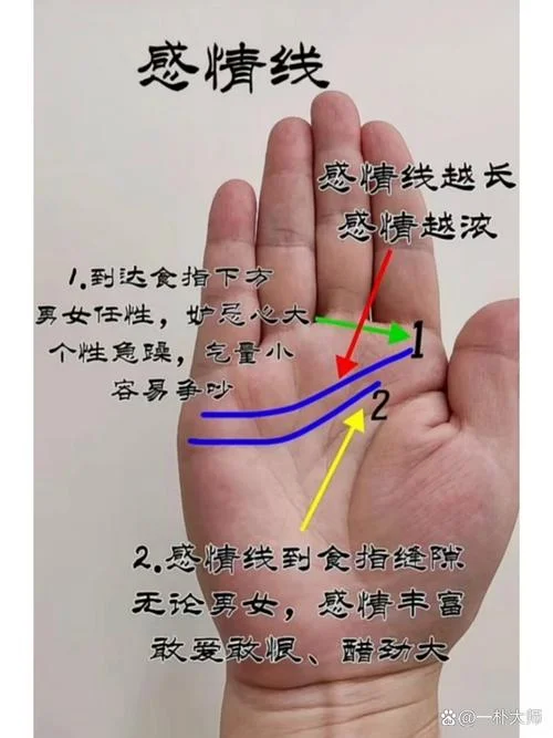 手相面相app_1