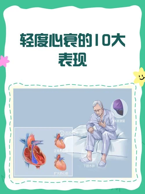 心衰湿冷是什么意思_1