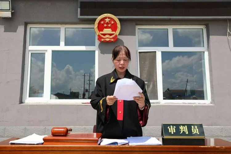 梦见法官执行_2