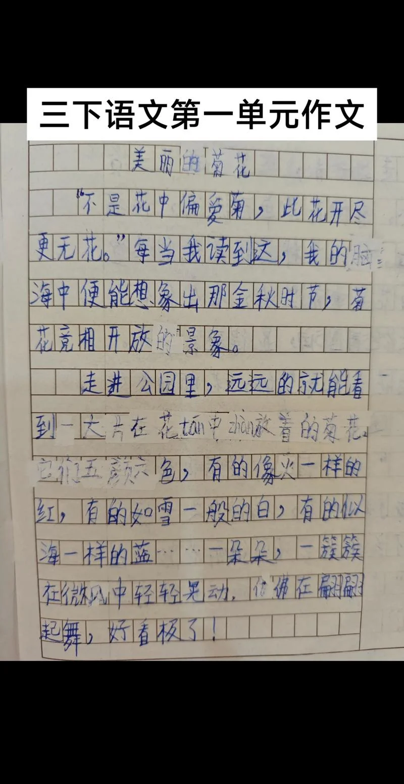 三年级写兰草花的作文_1