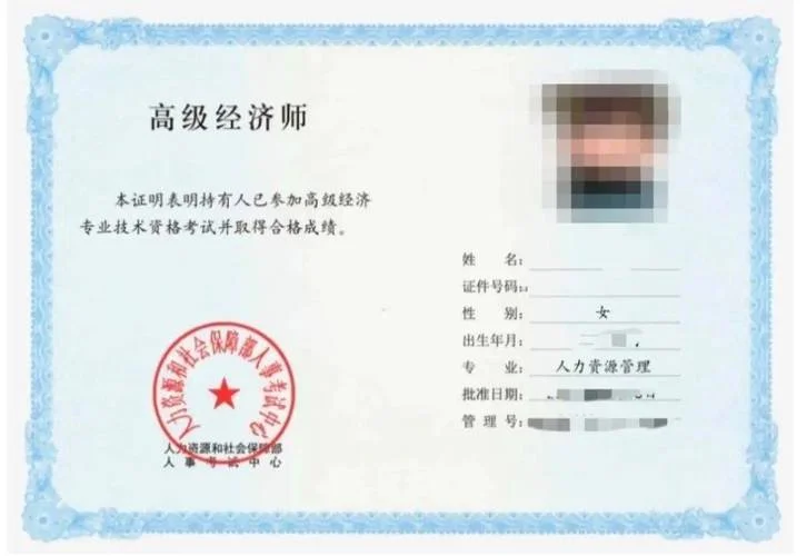 高级经济师要求_2