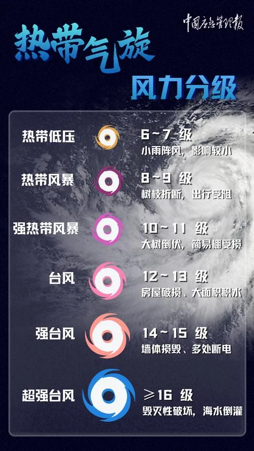 岳阳历史天气记录查询_1