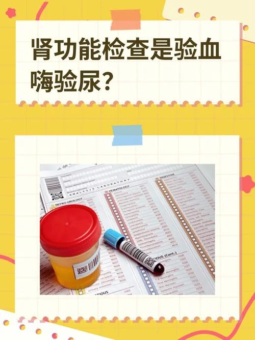 肾病需要检查哪些项目_1