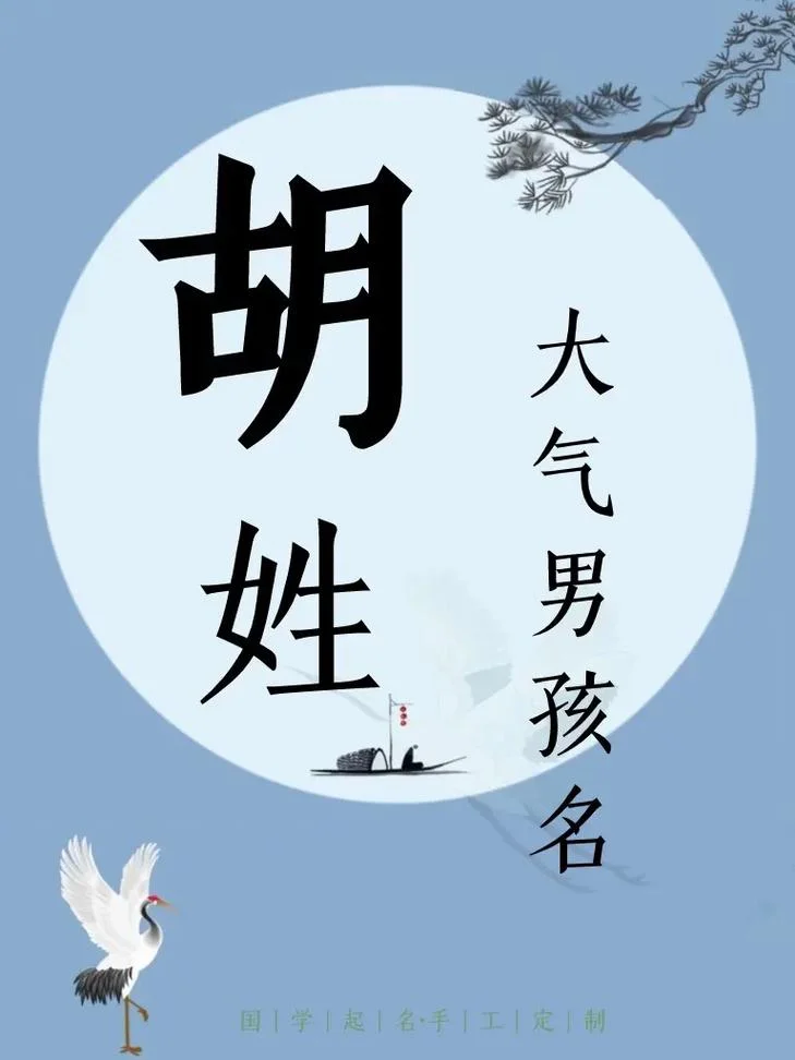 胡起名字_2