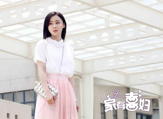 家有喜妇电视剧情全集-