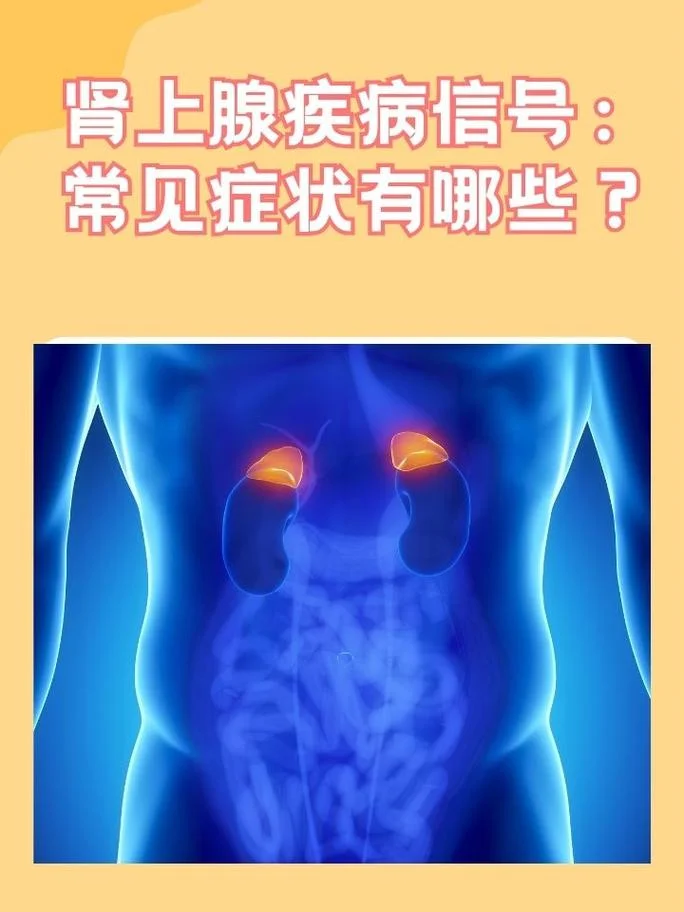 肾上腺素高是什么意思_1