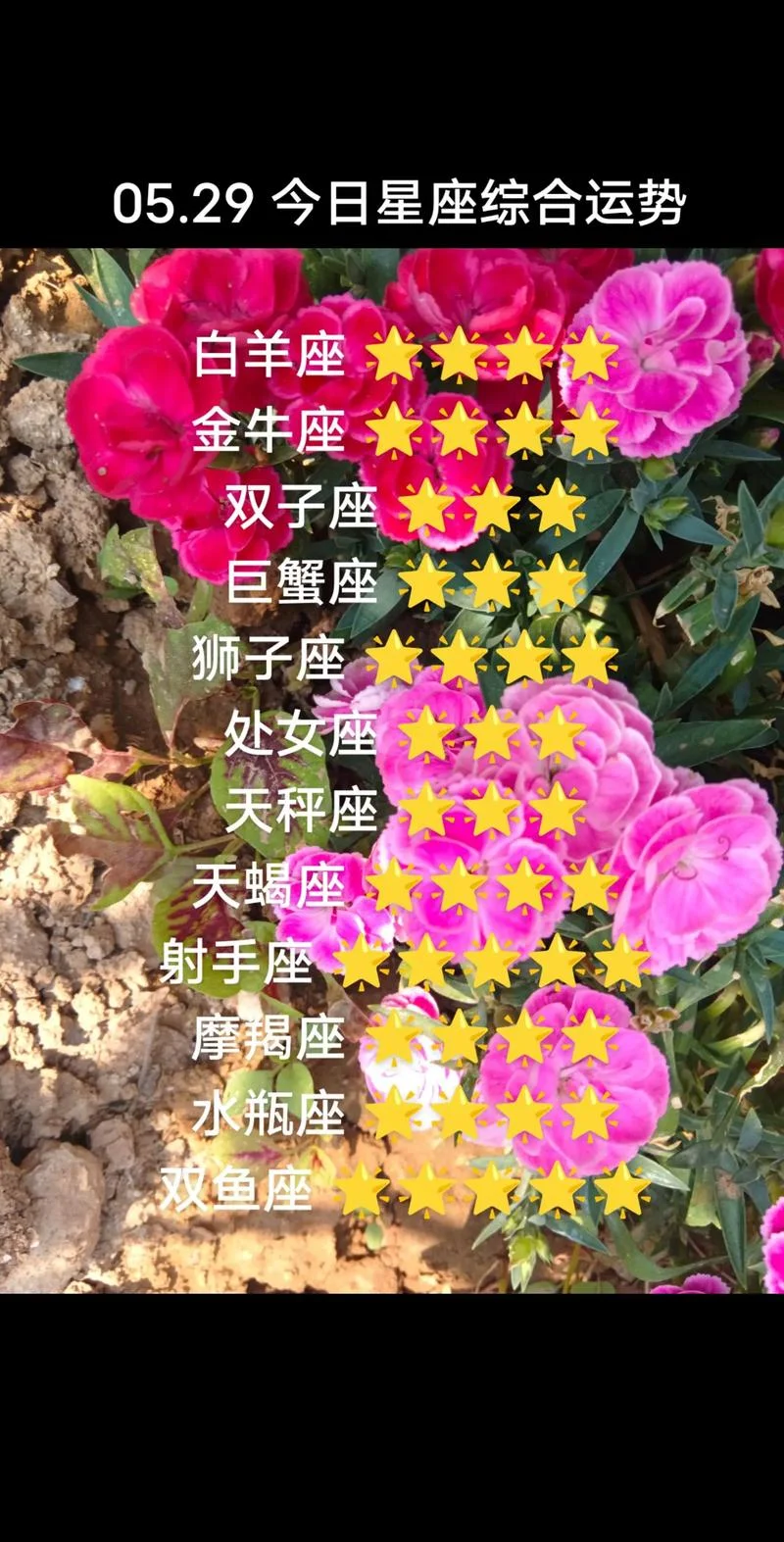 白羊座女11月运势-白羊女 11 月运势