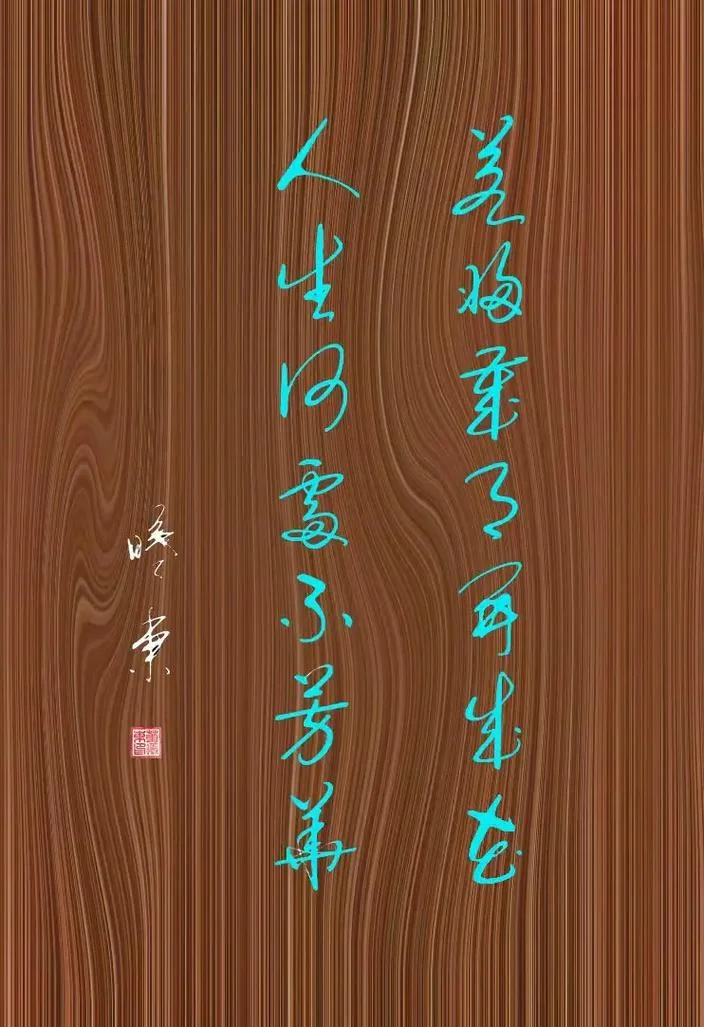 一览芳华感悟人生_1