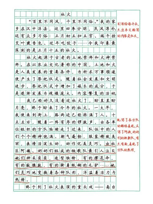 臭豆腐作文怎么写_1
