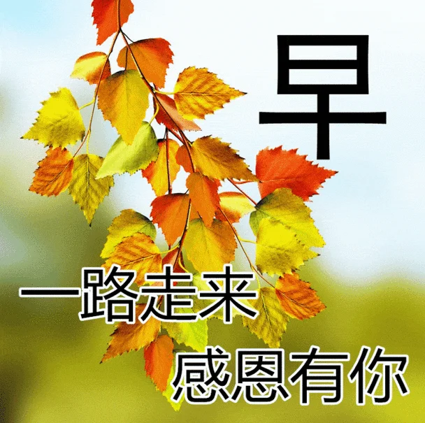周一祝福动态_1