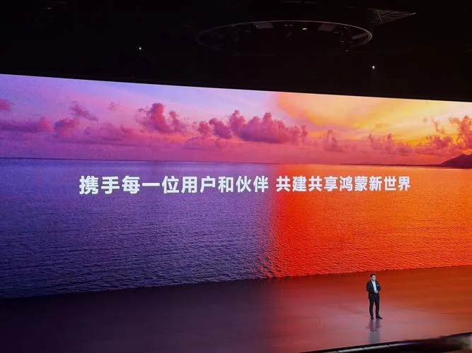 公测什么意思_1
