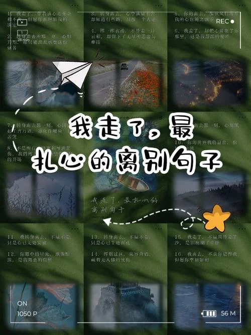 离别已离别大结局-离别结局大结局