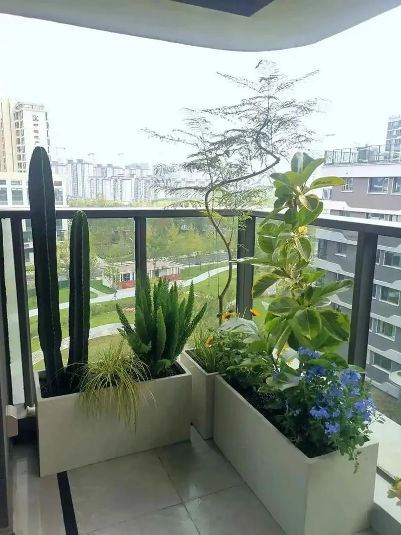 阳台绿植文案_1