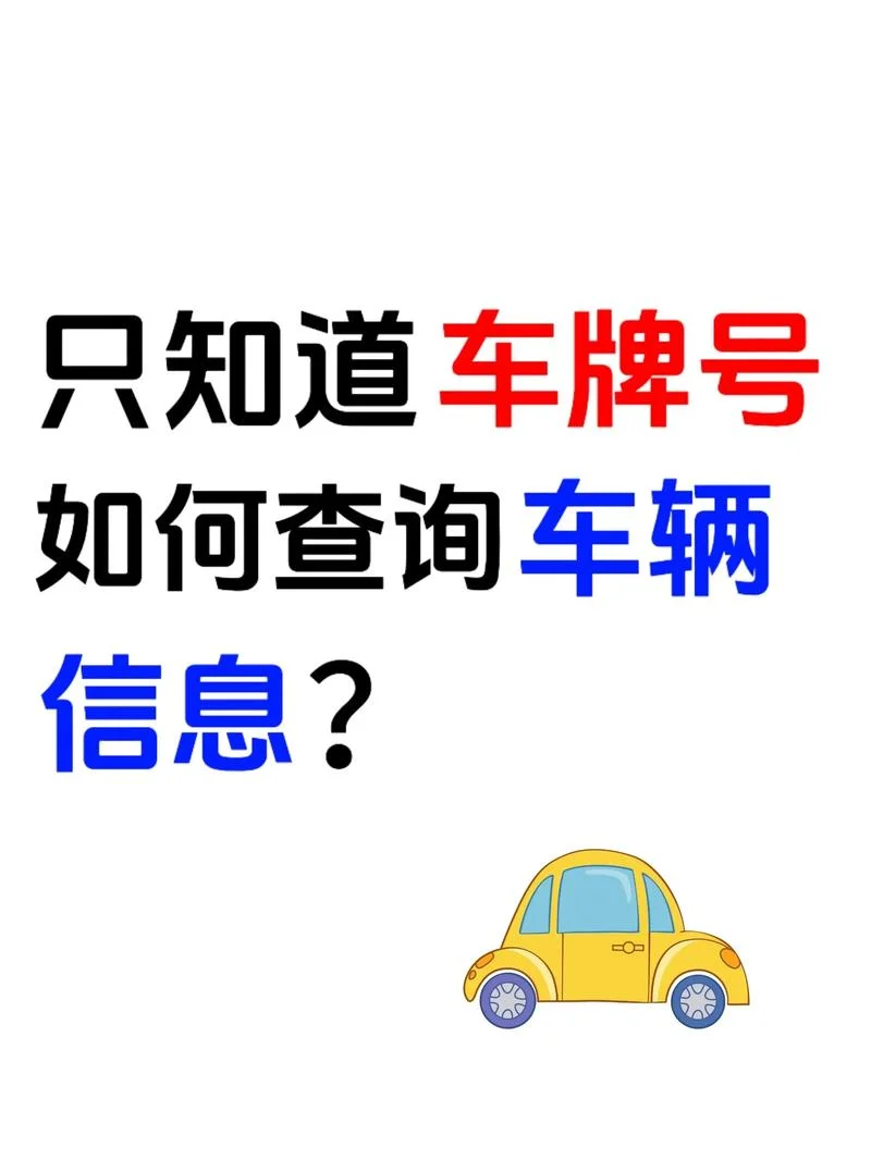 如何查车主姓名_1