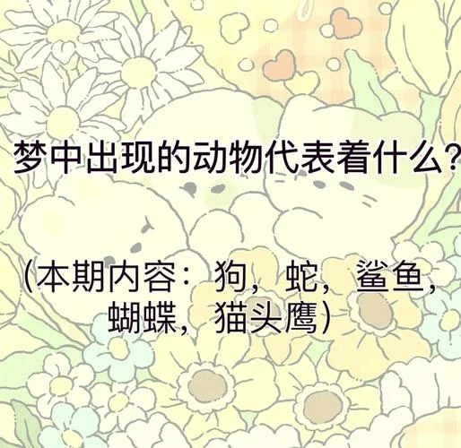 梦见成群猫头鹰叫_2