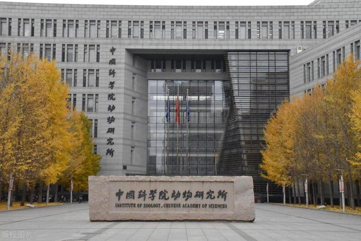 考研中科院挂科可以么_2