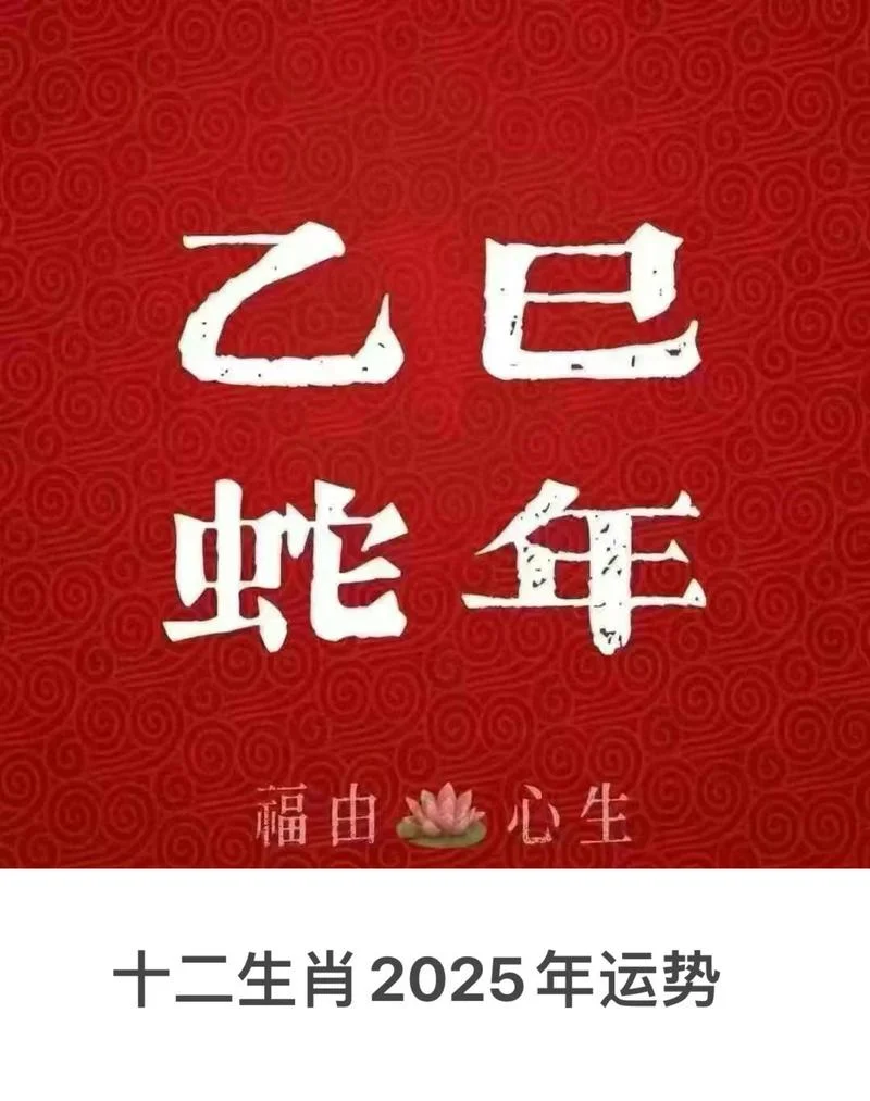 01年蛇女2024年运势_1