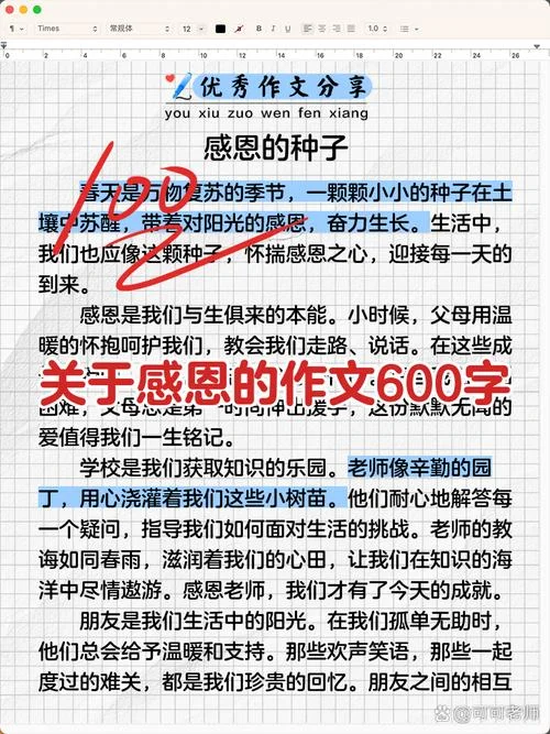 关于感恩的感悟_2