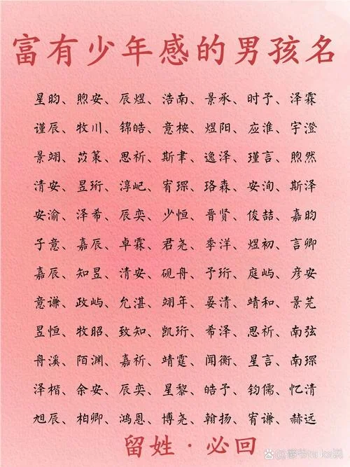 起名男孩名_2