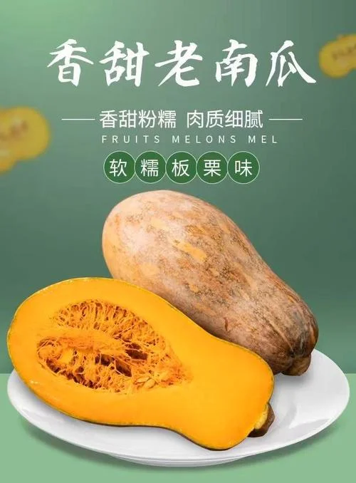 孕妇梦见南瓜红薯_2