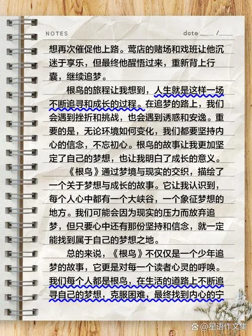 根鸟介绍-根鸟介绍关键词