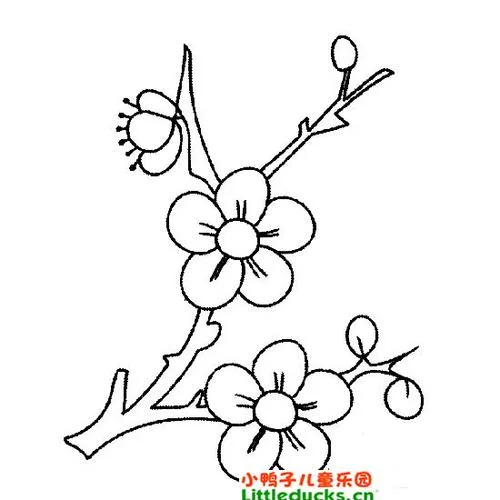 梅花简笔画_1
