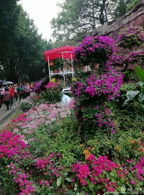 缤纷多彩出自哪里_1