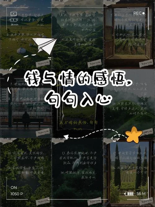 钱与情的感悟句子_2