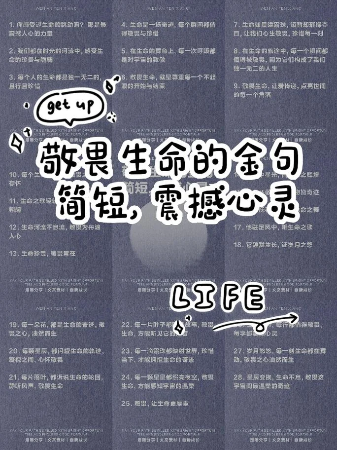 有关生命的感悟_1