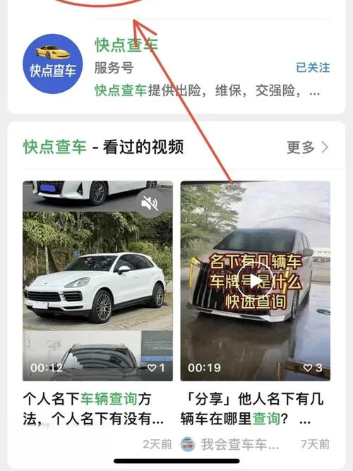 如何查车辆违章编码_1