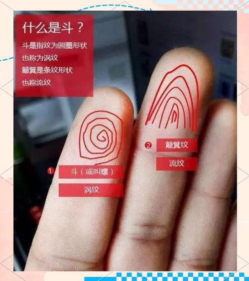 指纹运势十指流纹-十指流纹指纹运势