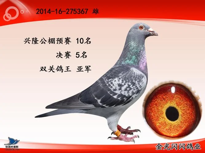 春辉公棚老板叫什么-春辉公棚老板名