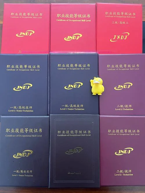 职业技能水平证书查询_1