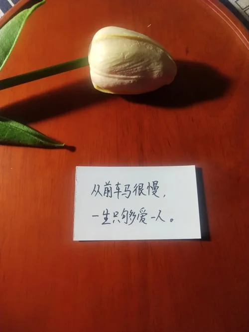 够爱歌词什么意思_1