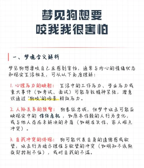 做梦梦到狗追我咬_2