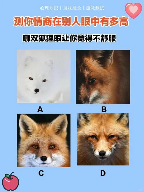 睿盯是什么意思_1