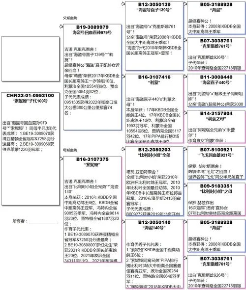 足环号查询信鸽成绩_1