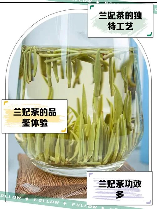 兰雪茶历史名茶_1