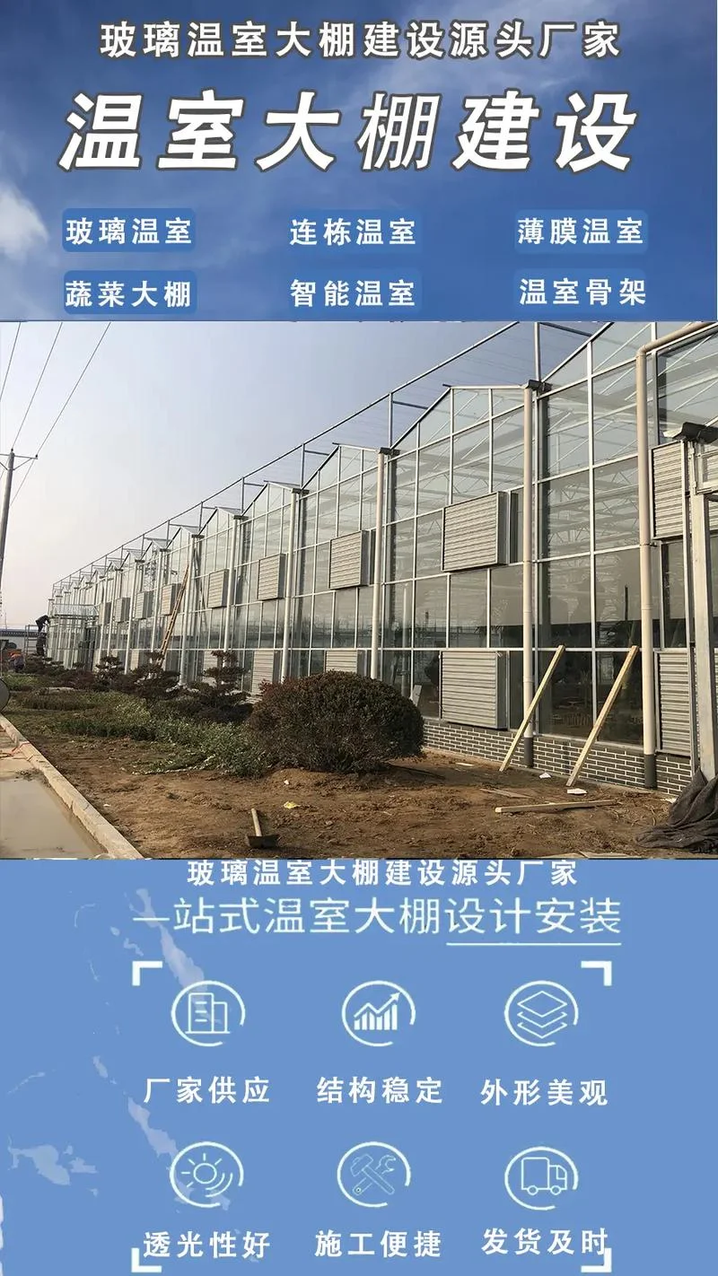 建设大棚多少钱一亩_1