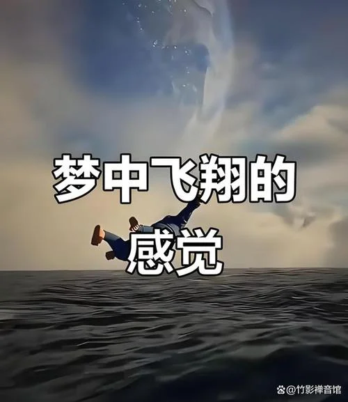 做梦梦到自己在飞_2