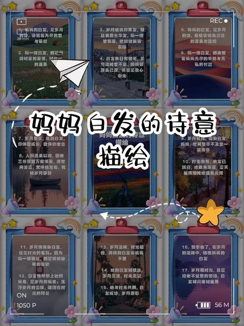 可怜白发生出自哪首诗-白居易《琵琶行》