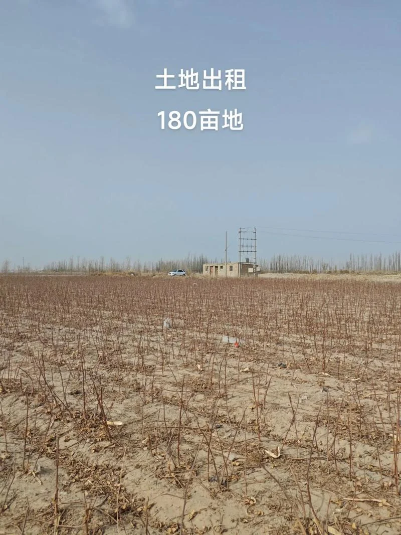 农村承包土地多少一亩_2