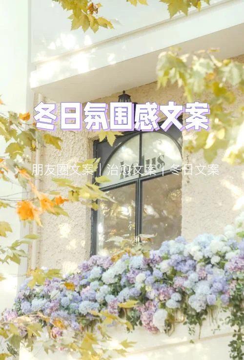 冬天唯美文案_1